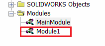 Module1 module in the Visual Basic Project